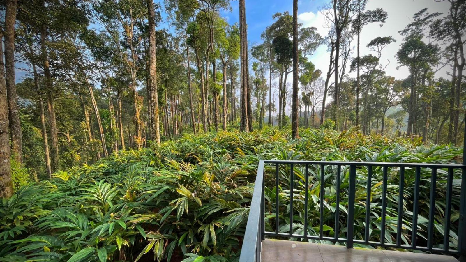 Forestscape Resort مونار المظهر الخارجي الصورة